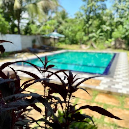 City View Safari Resort Udawalawe Bagian luar foto